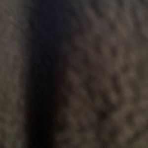 Meet your Posher, Hailyn